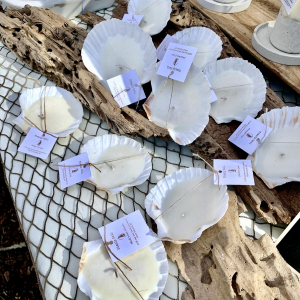 Clam Shell Tea Lights