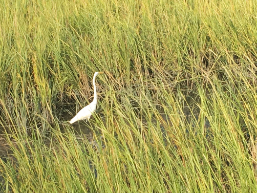 Fishing... Fishing...