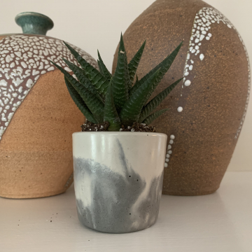 Concrete succulent pots Concrete succulent pots