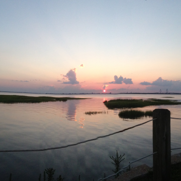Enjoying the sunset over Charleston from the Pitt Street Bridge Enjoying the sunset over Charleston from the Pitt Street Bridge